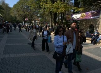 The 1903 Uprising and the Attack on Smilevo