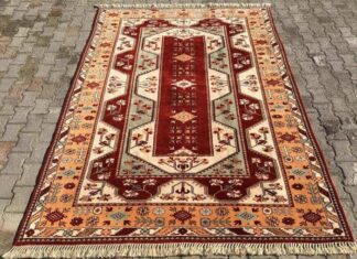 Understanding the Political Situation in Servia