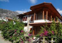 King Michael’s First Reign