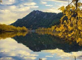 Domestic Animals in Ancient Egypt